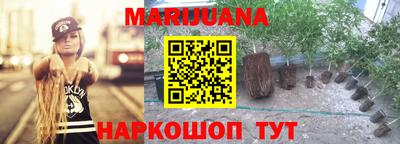 spice Рыбинск