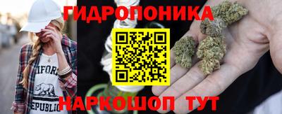 гидропоника Рузаевка