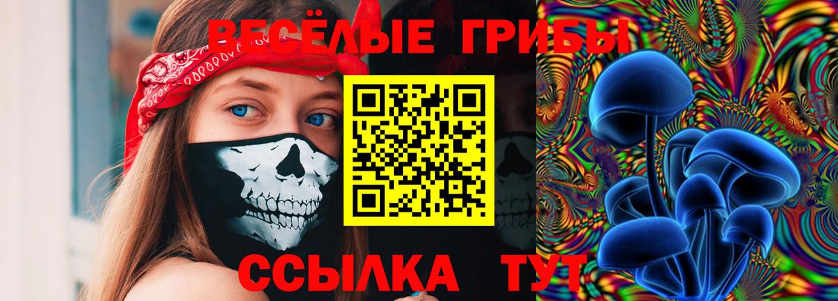 Орск  Псилоцибиновые грибы MAGIC MUSHROOMS  Вход с VPN 
